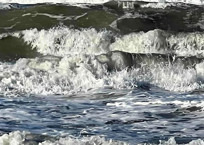 Fichtel Semesterbostad *